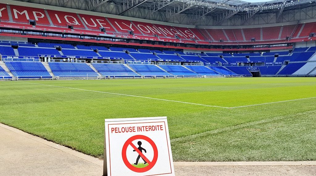 La presse Néo-Zélandaise se moque de la pelouse du Groupama Stadium