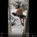 Nick Abendanon se fait plaisir en boxer dans la neige