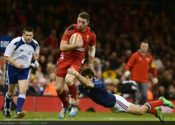 Un international Gallois pourrait faire son arrivée en Top 14 !