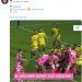INSOLITE – La bourde du Community Manager du Stade-Français Paris