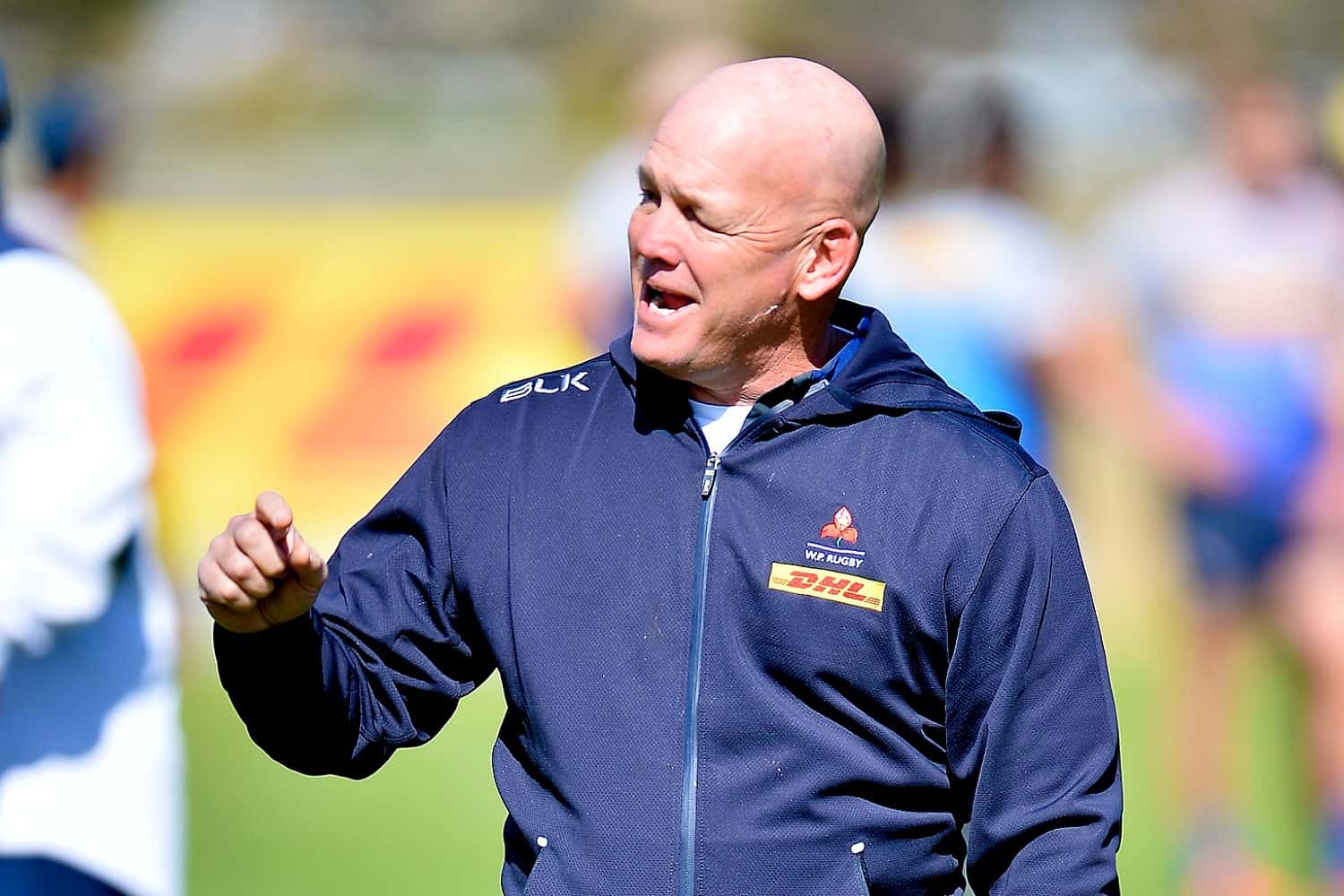 Le manager des Stormers s’enflamme sur le Stade Rochelais