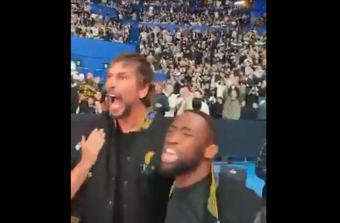 VIDÉO : Etzebeth et Kolisi font le show lors d’un combat de MMA !