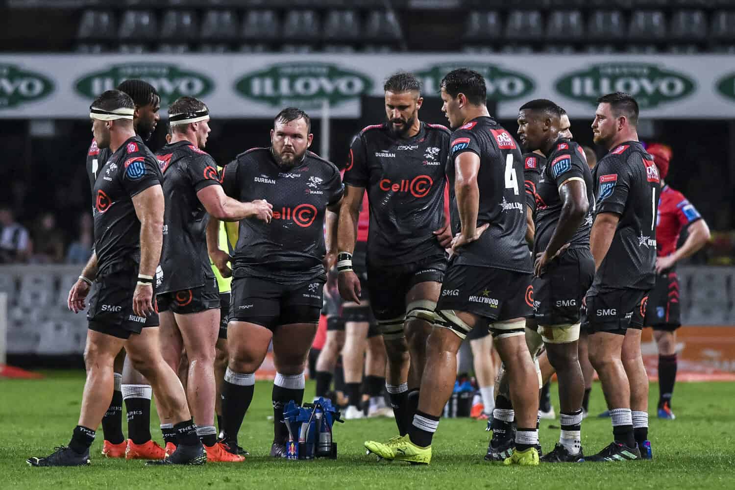 Les Sharks privés de plusieurs internationaux pour affronter Toulouse !