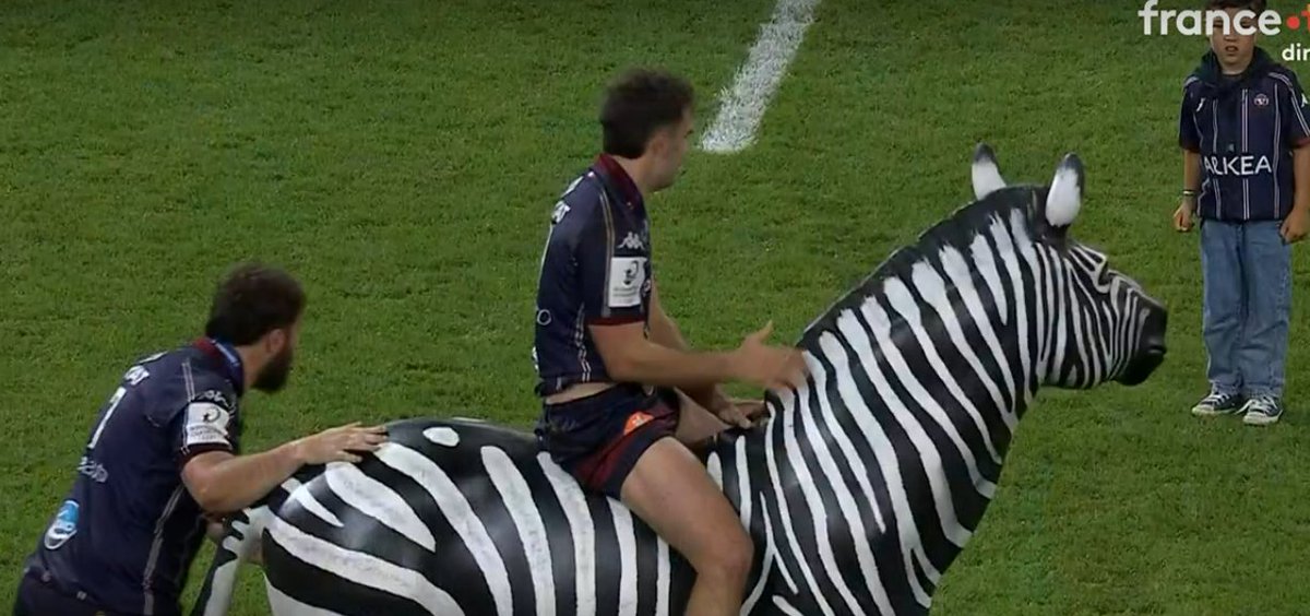 Damian Penaud : “Je me suis senti un peu bête, parce que je ne savais pas quoi faire dessus !”